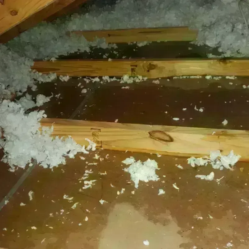 Attic Water Damage in Bartholomew County, IN